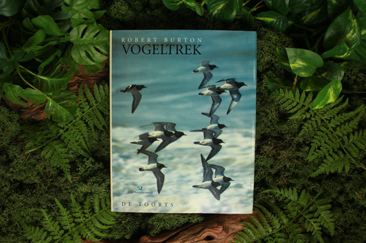 Vogeltrek – Robert Burton